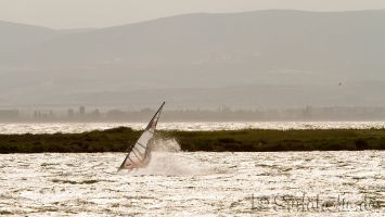 Windsurfen bei Tramontane vor der Ile des Pêcheurs, Leucate