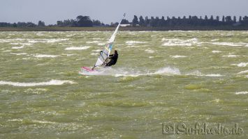Windsurfen in Hindeloopen bei SW 6-7 bft, August 2014