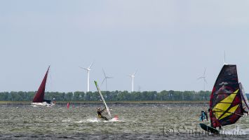 Harderwijk, Strand Horst, Windsurfen bei Westwind