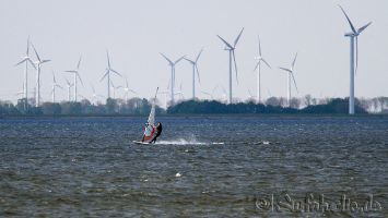 Windsurfen in Harderwijk, Strand Horst bei Ostwind