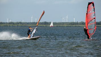 Windsurfer auf dem Veluwemeer bei Strand Horst