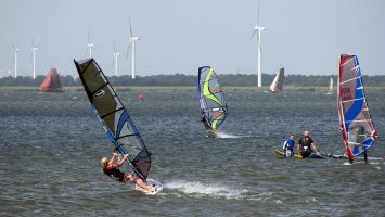 Windsurfer auf dem Veluwemeer bei Strand Horst